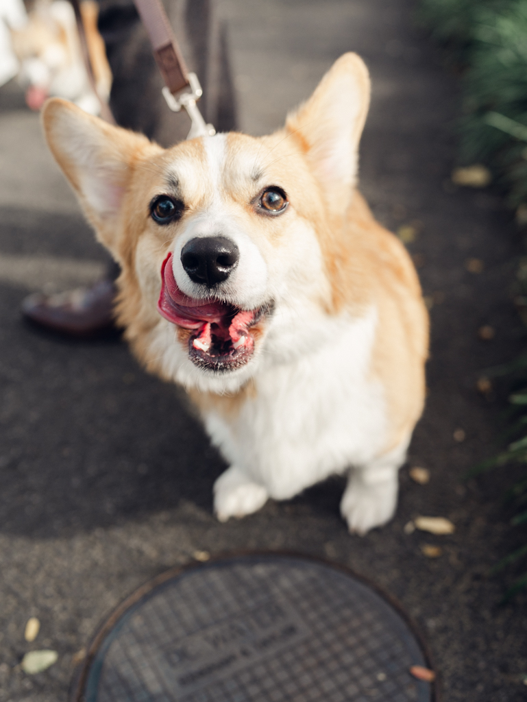 documentary wedding photo by dc wedding photographer Nicole Simensky photography